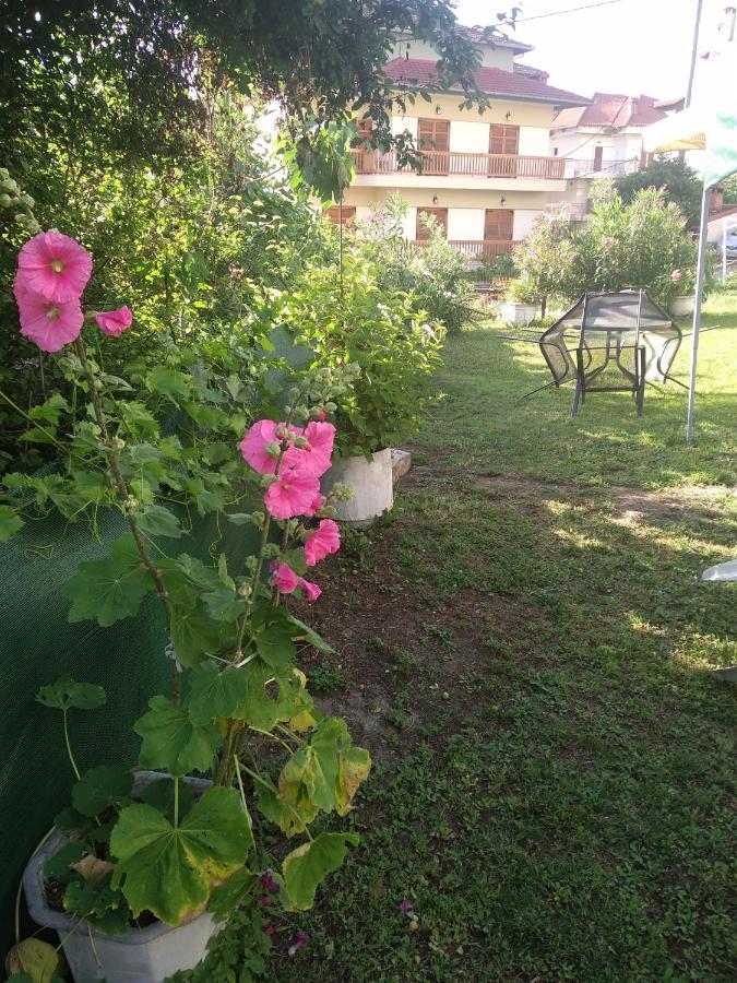 Pension Olympus Літохоро Екстер'єр фото